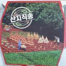 더스토리피자 이미지