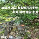 청학밸리리조트 주차 차박 배달 남양주 수락산 계곡 후기