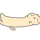멜팅냥 네이버블로그