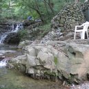 사슴출강농장 이미지