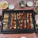 진성장어 이미지