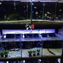 오천수족관 이미지