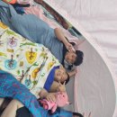 동양 합기도 무술관 이미지