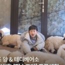 평강목장 이미지