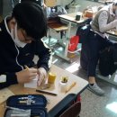 정서농장 이미지