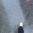 인력사무소 시작