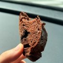 커피나무 - 천안시 서북구 | [원주 베이커리 카페] 원주 혁신도시 카페 나무커피 초코바게트 맛집 내돈내산 후기