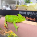 이웃집수달