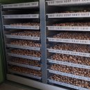 선택농장 이미지