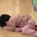 고찌올레