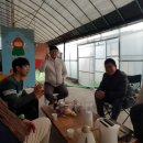 군산하늘딸기 네이버블로그