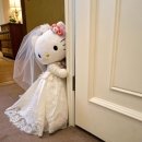 드메르 | 💍 W2. 광주 웨딩홀 투어 드메르 웨딩홀 후기 &amp; 2026년 11월-12월, 2027년 1-2월 견적 공유