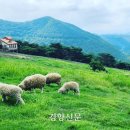 아름드리 목장 이미지