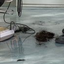 맨즈플랜헤어 의정부역2호점 | 남자머리 장발펌 맨즈플랜헤어 의정부역 2호점 이현 디자이너 방문 후기