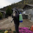 창녕축산도매센터 화왕산한우 먹방후기