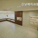 강남예치과동물병원