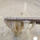 고봉민김밥인(금천롯데캐슬점) 이미지