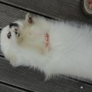 호수공원(아) 이미지