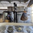 열이농장 이미지