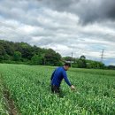 분토골농장 이미지