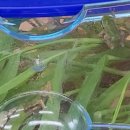 예초자연어린이집 이미지