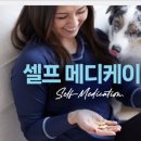 셀프메디케이션