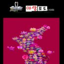 풍경속선물 이미지