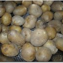 무채의아름다움 이미지