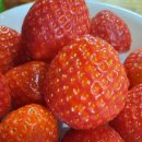 노을연가 이미지