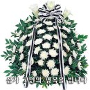 신내동-019 이미지