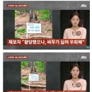 정신 나간 등산모임. 이미지
