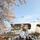 코로나로 인해 전체 일정 취소 이미지
