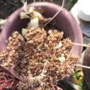 김성배한의원 이미지