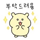 수기~ing