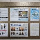 대영 목욕탕 이미지