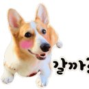 지주 헤어 살롱 이미지