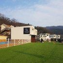 펫티움애견펜션 이미지