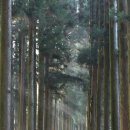 다원농장 이미지