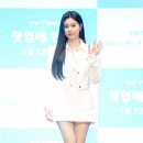 강혜원 카카오 검색결과