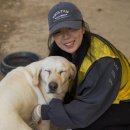 본 동물의료센터 이미지