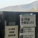 물안개식당