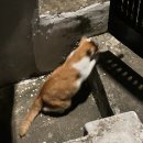 구로-고척-구로-1996 | BTS movie weeks 프리미어 상영회 후기 &amp; 봉은사/코엑스 나들이 레츠고