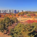 평화의 문 이미지