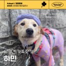 하민/여아/9개월 이미지