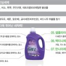 동백세탁 이미지