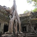 비밀의 사원 이미지