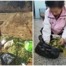 서구노인복지관(11) 이미지