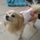 난지천공원 이미지