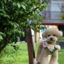 흥부공인중개사사무소 이미지