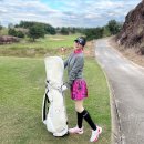 오늘도 골프 | 여자 골프백 추천, 가볍고 예쁜 고엑스오 경량 스탠드백 실사용 후기